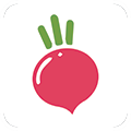 The Cooking Lab